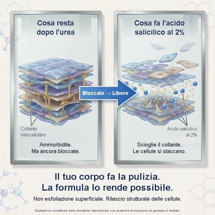 Come l'acido salicilico al 2% scioglie il collante intercellulare