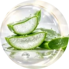 Estratto di aloe vera